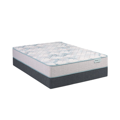 Dream Weaver - 11.5" Firm Mattress