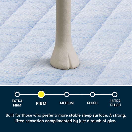 Perfect Day - 14" Firm Mattress in a Box