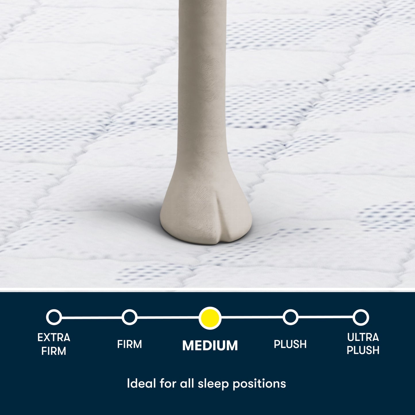 Perfect Day - 10" Serta Medium Mattress in a Box