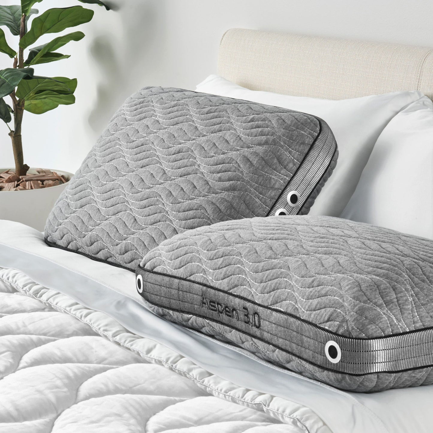 Aspen Performance - Standard Pillow
