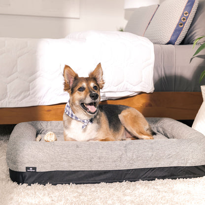 Performance - Medium / Large Dog Bed - Gray