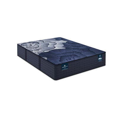 Perfect Sleeper - 14" X Prescott Hybrid Medium Firm Mattress