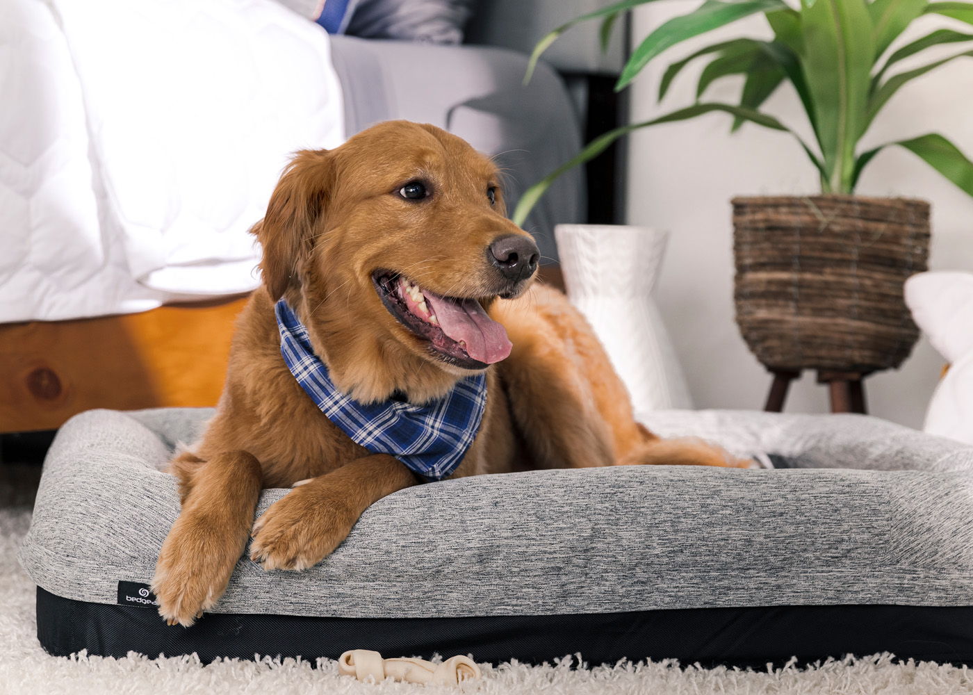 Performance - Medium / Large Dog Bed - Gray