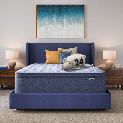Perfect Day - 16" Plush Pillow Top Mattress in a Box