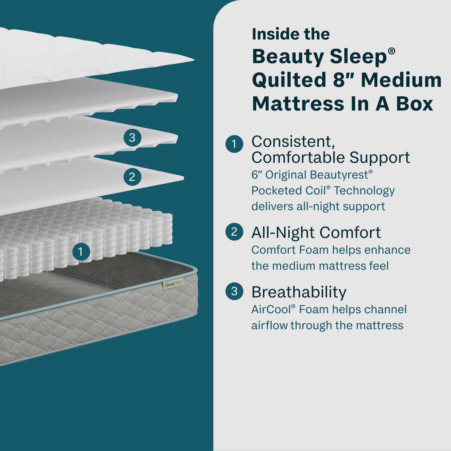 Soothing Nights - 8" Medium Mattress In A Box