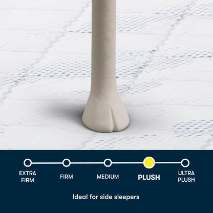 Perfect Day - 12" Serta Plush Pillow Top Mattress in a Box