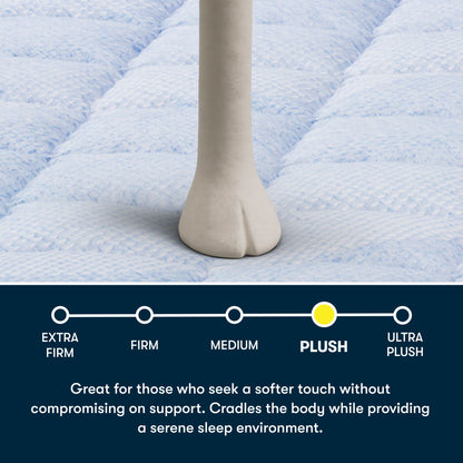 Perfect Day - 16" Plush Pillow Top Mattress in a Box