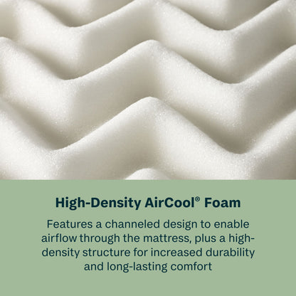 Radiant Dream - 10" Memory Foam Firm Mattress in a Box