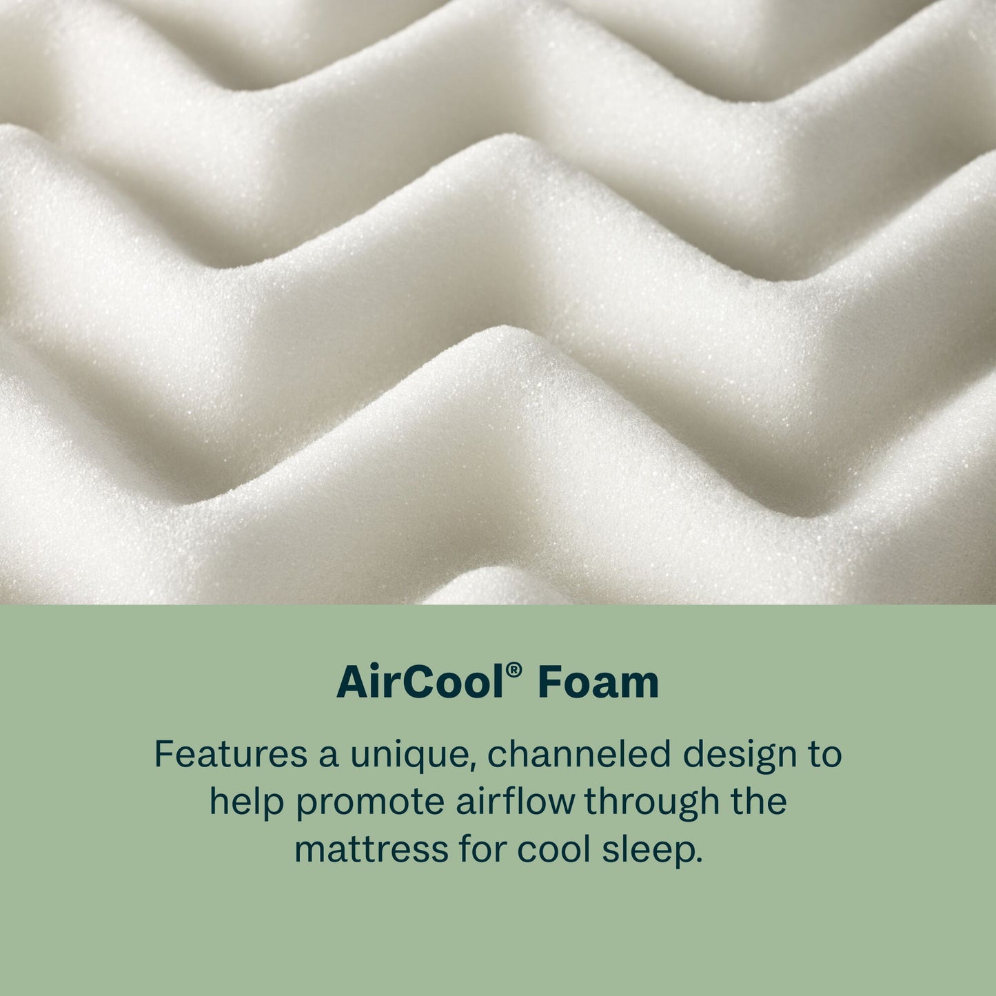 Dream Weaver - 13.75" Plush Mattress