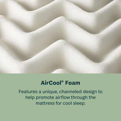 Dream Weaver - 13.75" Plush Mattress